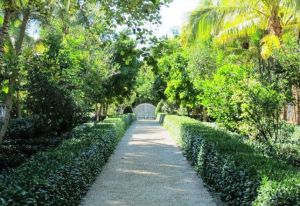 Photo by Oscar de la Renta of his Punta Cana gardens in the Dominican Republic.jpg